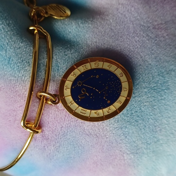 Capricorn Celestial Wheel expandable bangle by Alex and Ani RARE/DISCONTINUED - Picture 2 of 12